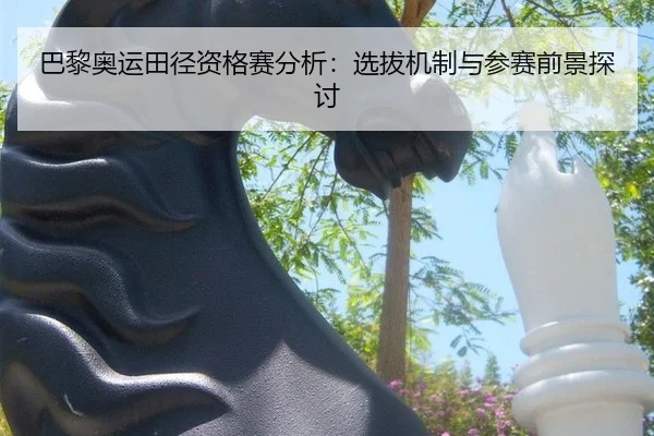 巴黎奥运田径资格赛分析：选拔机制与参赛前景探讨